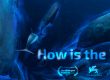 Become a dolphin in How is The Water, the award winning XR experience. Lean more on Kickstarter.