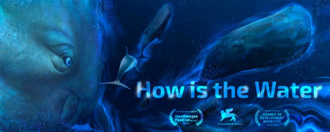 How is the Water Become a dolphin in How is The Water, the award winning XR experience. Lean more on Kickstarter.